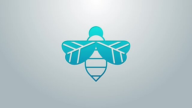 Blue line Bee icon isolated on grey background. Sweet natural food. Honeybee or apis with wings symbol. Flying insect. 4K Video motion graphic animation