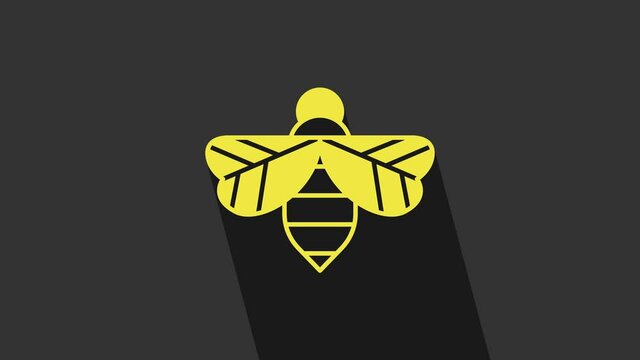Yellow Bee icon isolated on grey background. Sweet natural food. Honeybee or apis with wings symbol. Flying insect. 4K Video motion graphic animation