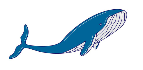 handdraw cartoon blue whale, simple design illustration on white background