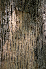 The texture of the wood is unique.