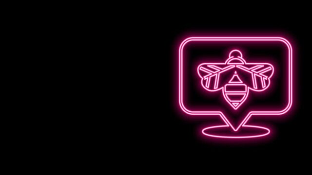 Glowing neon line Bee icon isolated on black background. Sweet natural food. Honeybee or apis with wings symbol. Flying insect. 4K Video motion graphic animation