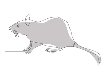 rat, mouse one continuous line drawing isolated, vector