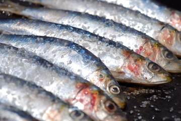 SARDINAS A LA PLANCHA