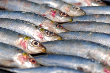 SARDINAS A LA PLANCHA