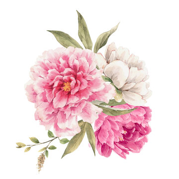 Beautiful floral composition with hand drawn watercolor gentle pink peony flowers bouquet. Stock illuistration.