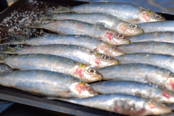 SARDINAS A LA PLANCHA