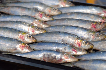 SARDINAS A LA PLANCHA
