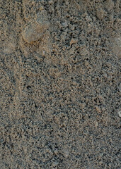 Sand background The middle part is dry and the edge is wet sand