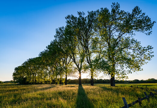 Schwerte Ruhr Ergste Deutschland Ufer Sonnenuntergang Abend Licht Baumreihe Weiden K&uuml;he Zaun Fluss Ruhrgebiet Hengsteysee Zaun Wiesen Weiden Spaziergang Jogging Ruhrtalradweg Idyll Panorama Horizont 