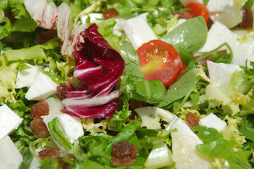 ENSALADA DE HIERBAS Y QUESO FRESCO