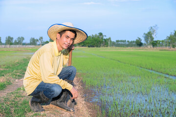 Naklejka na ściany i meble Asian farmers wear yellow shirts sitting at the green farm.