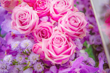 Image close up of a lot of amazing beautiful pink and purple rose flowers background