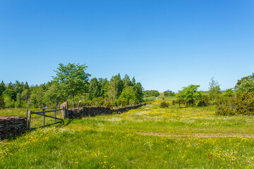 Fototapeta na wymiar Stone wall with a gate at a flowering meadow in summer