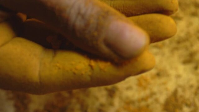 Closeup Of Madder Powder In Hands, Natural Red Dye Pigment For Organic Textiles And Clothes