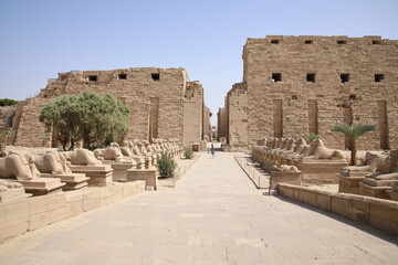 Sphinxes of the Karnak Temple, Luxor, Egypt