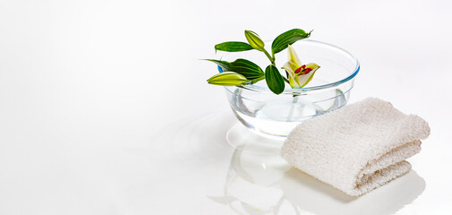 a flower and a lily bud in a transparent glass vase and a white towel. Spa concept