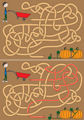 Pumpkin harvest maze