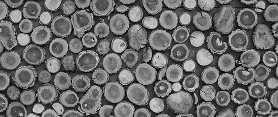 different round wooden disks as a background on a board