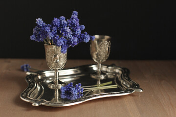 Blue muscari flowers on a silver plating. Spring flowers. Blurred background.