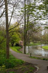 Fototapeta na wymiar reflection in the pond in the park