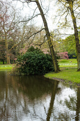 Fototapeta na wymiar reflection in the pond in the park