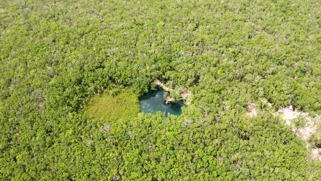 Aerial view of the beautiful heart shaped cenote 
