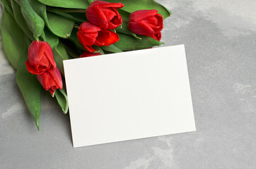 Greeting card with fresh red tulip flowers on grey concrete background