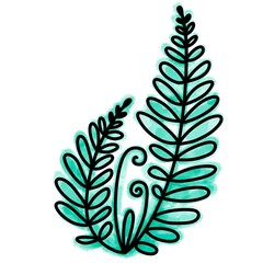   Hand drawn digital image of doodle fern isolated on white background. Stock illustration of forest plant with mint watercolor background.