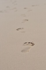 Fototapeta na wymiar foot steeps in the surface of sand beach