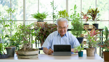 A retired old man use wireless communication via a tablet computer to inquire about indoor garden care from botanist. The morning atmosphere in the greenhouse planting room.