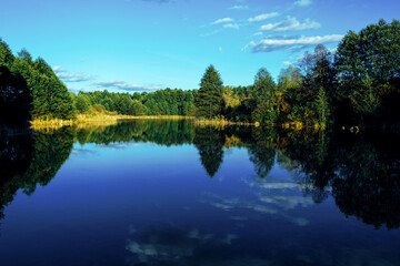 Fototapeta na wymiar Lake surrounded by green forest