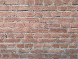 The background is an old brick wall. The wall is made of red ceramic bricks.
