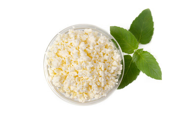 Mint leaves and a bowl of cottage cheese cream on a white table. The concept of healthy eating. Cottage cheese cream