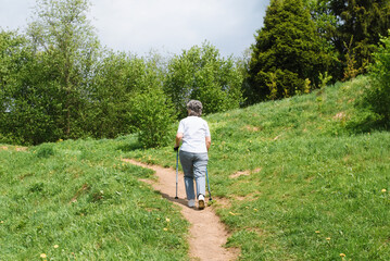 Fototapeta premium Hike in nature on a sunny summer day. Elderly woman traveler with Nordic walking sticks climbing a hill, back view. Active healthy lifestyle in retirement.