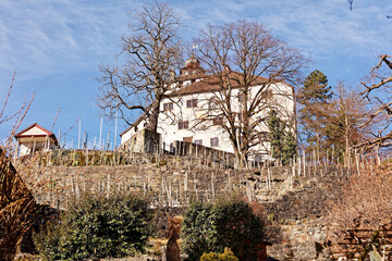 Close view of Werdenberg Castle and wineyards