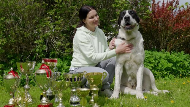Female pet owner and her winner Central Asian shepherd dog with dogs show awards, woman with Alabay near winning cups. High quality 4k footage
