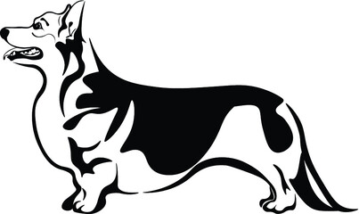 Corgi Full Body Black and White