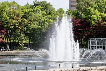 Naklejka premium 噴水のある公園