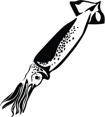 silhouette of a cuttlefish