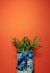 Green beans in a chinese blue and white vase in front of orange background