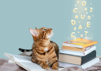 Letters flying out of the book. Magic book. Bengal cat with a book on a soft blanket
