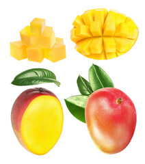 Set with delicious ripe mangos on white background