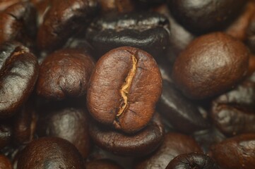 coffee beans macro
