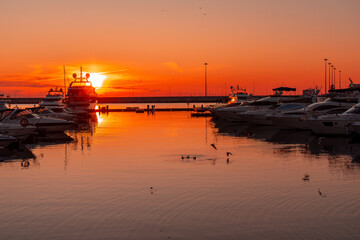 View of yacht harbor at the sunset sun with reflection in water and seagulls. Sochi sea port,...