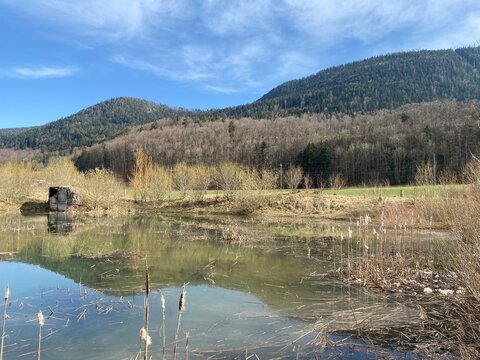 Educational trail and swamp Grand Morcel (Sentier p&eacute;dagogique et marais du Grand Morcel), Vallorbe - Canton of Vaud, Switzerland (Kanton Waadt, Schweiz - Suisse)