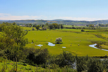 Rhuddlan in Wales, UK, landscape with cows