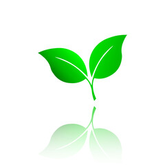 Fototapeta na wymiar Green leaf ecology nature element. Green ecological leaf with reflection under transparent mask on white background. Vector illustration