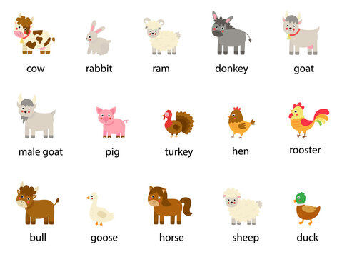 Set of farm animals and birds with names. Vector illustrations.