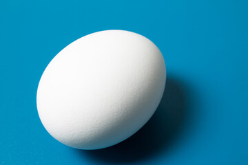 White egg on blue background