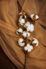 Fototapeta na wymiar Top view image of cotton branch on brown tulle fabrics